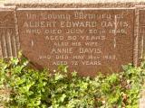 image of grave number 808913